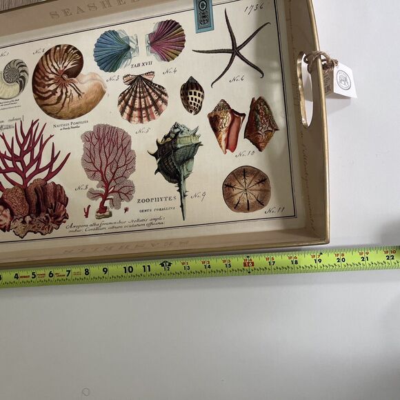 Michel Design Works Wood Decoupage Lacquered Seashell Serving Tray - 14”… - Picture 8 of 12